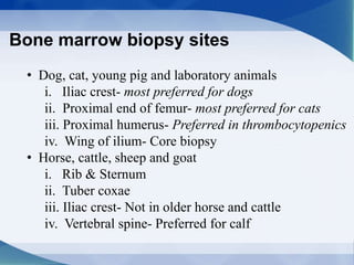 Bone marrow biopsy sites
• Dog, cat, young pig and laboratory animals
i. Iliac crest- most preferred for dogs
ii. Proximal end of femur- most preferred for cats
iii. Proximal humerus- Preferred in thrombocytopenics
iv. Wing of ilium- Core biopsy
• Horse, cattle, sheep and goat
i. Rib & Sternum
ii. Tuber coxae
iii. Iliac crest- Not in older horse and cattle
iv. Vertebral spine- Preferred for calf
 