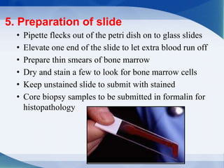 • Pipette flecks out of the petri dish on to glass slides
• Elevate one end of the slide to let extra blood run off
• Prepare thin smears of bone marrow
• Dry and stain a few to look for bone marrow cells
• Keep unstained slide to submit with stained
• Core biopsy samples to be submitted in formalin for
histopathology
5. Preparation of slide
 