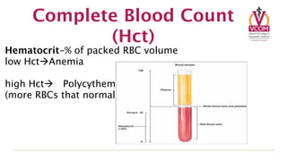 Bone marrow blood comp. (8) | KEY