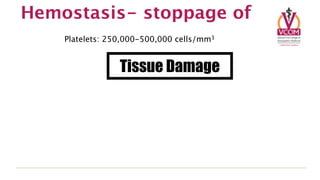 Hemostasis- stoppage of
    Platelets: 250,000-500,000 cells/mm3


                 Tissue Damage
 