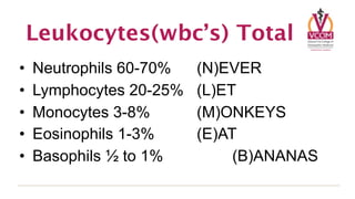 Leukocytes(wbc’s) Total
•   Neutrophils 60-70%   (N)EVER
•   Lymphocytes 20-25%   (L)ET
•   Monocytes 3-8%       (M)ONKEYS
•   Eosinophils 1-3%     (E)AT
•   Basophils ½ to 1%         (B)ANANAS
 