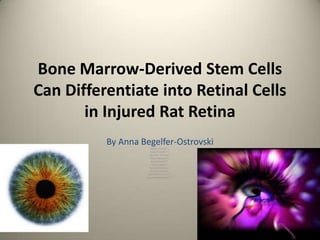 Bone Marrow-Derived Stem Cells Can Differentiate into Retinal Cells in Injured Rat Retina By Anna Begelfer-Ostrovski Minoru Tomita1,2,  Yasushi Adachi1,2,3, Haruhiko Yamada2,  Kanji Takahashi2, Katsuji Kiuchi2,5,  Haruki Oyaizu1,  Kazuya Ikebukuro1,  Hiroyuki Kaneda1,  Miyo Matsumura2,3,4,  Susumu Ikehara M.D.1,3,   