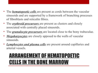 bonemarrowexamination1-new-240208195249-b55c44cf.pptx