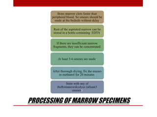 PROCESSING OF MARROW SPECIMENS
Bone marrow clots faster than
peripheral blood. So smears should be
made at the bedside without delay.
Rest of the aspirated marrow can be
stored in a bottle containing EDTA.
If there are insufficient marrow
fragments, they can be concentrated.
At least 5-6 smears are made.
After thorough drying, fix the smears
in methanol for 20 minutes.
Stain with any of
theRomanowskydyes (atleast3
smears)
 