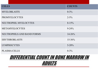DIFFERENTIAL COUNT IN BONE MARROW IN
ADULTS
CELLS COUNTS
MYELOBLASTS 0-3%
PROMYELOCYTES 2-5%
NEUTROPHIL MYELOCYTES 8-15%
METAMYELOCYTES 9-24%
NEUTROPHILS AND BAND FORMS 14-26%
ERYTHROBLASTS 15-36%
LYMPHOCYTES 5-20%
PLASMA CELLS 0-3%
 