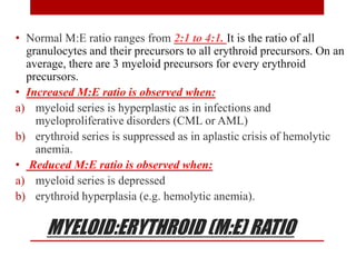 MYELOID:ERYTHROID (M:E) RATIO
• Normal M:E ratio ranges from 2:1 to 4:1. It is the ratio of all
granulocytes and their precursors to all erythroid precursors. On an
average, there are 3 myeloid precursors for every erythroid
precursors.
• Increased M:E ratio is observed when:
a) myeloid series is hyperplastic as in infections and
myeloproliferative disorders (CML or AML)
b) erythroid series is suppressed as in aplastic crisis of hemolytic
anemia.
• Reduced M:E ratio is observed when:
a) myeloid series is depressed
b) erythroid hyperplasia (e.g. hemolytic anemia).
 