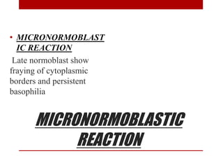 MICRONORMOBLASTIC
REACTION
• MICRONORMOBLAST
IC REACTION
Late normoblast show
fraying of cytoplasmic
borders and persistent
basophilia
 