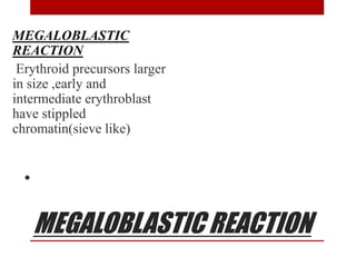 MEGALOBLASTIC REACTION
MEGALOBLASTIC
REACTION
Erythroid precursors larger
in size ,early and
intermediate erythroblast
have stippled
chromatin(sieve like)
.
 