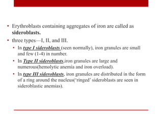 • Erythroblasts containing aggregates of iron are called as
sideroblasts.
• three types—I, II, and III.
• In type I sideroblasts (seen normally), iron granules are small
and few (1-4) in number.
• In Type II sideroblasts,iron granules are large and
numerous(hemolytic anemia and iron overload).
• In type III sideroblasts, iron granules are distributed in the form
of a ring around the nucleus(‘ringed’ sideroblasts are seen in
sideroblastic anemias).
 