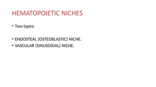 HEMATOPOIETIC NICHES
• Two types:
• ENDOSTEAL (OSTEOBLASTIC) NICHE.
• VASCULAR (SINUSOIDAL) NICHE.
 