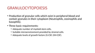 GRANULOCYTOPOIESIS
• Production of granular cells which exist in peripheral blood and
contain granules in their cytoplasm (Neutrophils, eosinophils and
basophils).
• Three basic requirements:
• Adequate number of myeloid stem cells.
• Suitable microenvironment provided by stromal cells.
• Adequate levels of growth factors (G-CSF, GM-CSF).
 