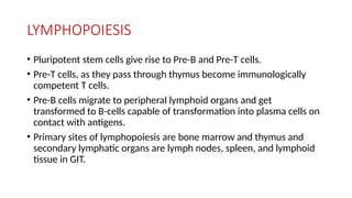 LYMPHOPOIESIS
• Pluripotent stem cells give rise to Pre-B and Pre-T cells.
• Pre-T cells, as they pass through thymus become immunologically
competent T cells.
• Pre-B cells migrate to peripheral lymphoid organs and get
transformed to B-cells capable of transformation into plasma cells on
contact with antigens.
• Primary sites of lymphopoiesis are bone marrow and thymus and
secondary lymphatic organs are lymph nodes, spleen, and lymphoid
tissue in GIT.
 