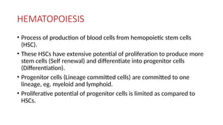 HEMATOPOIESIS
• Process of production of blood cells from hemopoietic stem cells
(HSC).
• These HSCs have extensive potential of proliferation to produce more
stem cells (Self renewal) and differentiate into progenitor cells
(Differentiation).
• Progenitor cells (Lineage committed cells) are committed to one
lineage, eg. myeloid and lymphoid.
• Proliferative potential of progenitor cells is limited as compared to
HSCs.
 