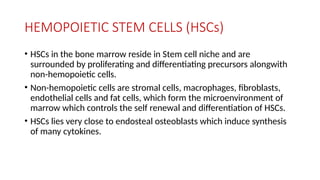 HEMOPOIETIC STEM CELLS (HSCs)
• HSCs in the bone marrow reside in Stem cell niche and are
surrounded by proliferating and differentiating precursors alongwith
non-hemopoietic cells.
• Non-hemopoietic cells are stromal cells, macrophages, fibroblasts,
endothelial cells and fat cells, which form the microenvironment of
marrow which controls the self renewal and differentiation of HSCs.
• HSCs lies very close to endosteal osteoblasts which induce synthesis
of many cytokines.
 