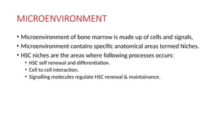 MICROENVIRONMENT
• Microenvironment of bone marrow is made up of cells and signals,
• Microenvironment contains specific anatomical areas termed Niches.
• HSC niches are the areas where following processes occurs:
• HSC self renewal and differentiation.
• Cell to cell interaction.
• Signalling molecules regulate HSC renewal & maintainance.
 