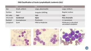 BONE MARROW IN LEUKEMIAS.types of leukaemia | PPTX