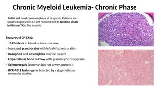BONE MARROW IN LEUKEMIAS.pptx types of leukemia | PPTX