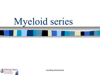 Myeloid series

courtesy:anonymous

 