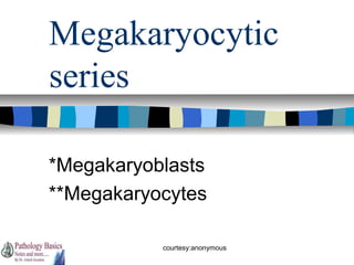 Megakaryocytic
series
*Megakaryoblasts
**Megakaryocytes
courtesy:anonymous

 