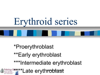 Erythroid series
*Proerythroblast
**Early erythroblast
***Intermediate erythroblast
****Late erythroblast
courtesy:anonymous

 