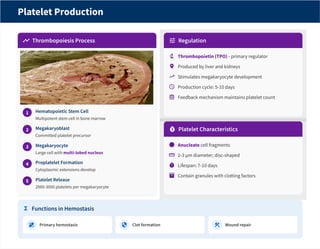 Proplatelet Process Bone Marrow Structure,Function,Clinical and Significance_pdf | PDF