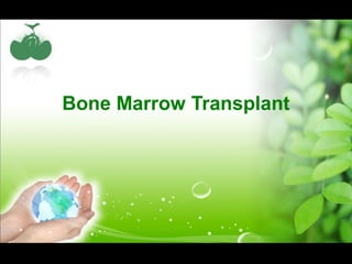 Bone Marrow Transplant
 