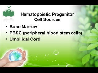 Hematopoietic Progenitor
Cell Sources
• Bone Marrow
• PBSC (peripheral blood stem cells)
• Umbilical Cord
 