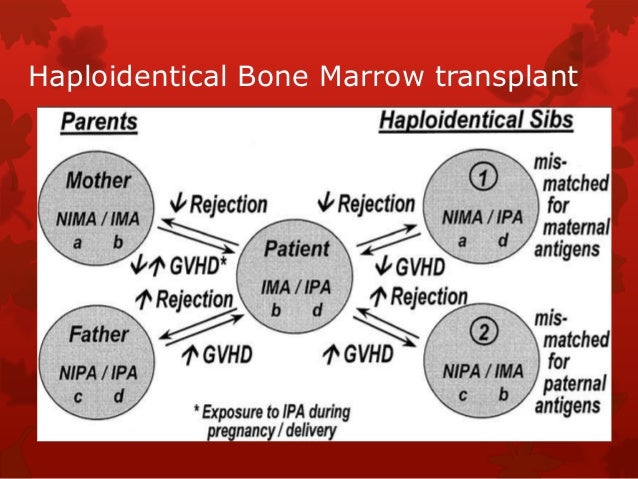 Bone marrow transplant max healthcare kenya