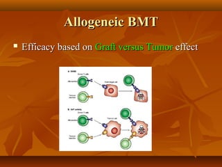 Allogeneic BMTAllogeneic BMT
 Efficacy based onEfficacy based on Graft versus TumorGraft versus Tumor effecteffect
 