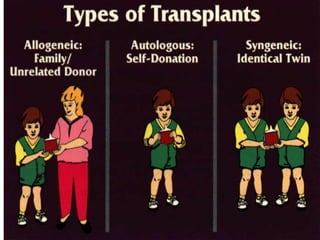 Bone marrow transplantation