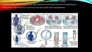 • Patients can expect to be in hospital for 4-6 weeks, although this is highly variable.
• Peripheral stem cells have lead to more rapid engraftment and shorter duration of hospitalisation.
• Most patients will not return to work for at least nine months after transplantation.
 
