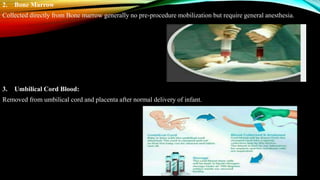 2. Bone Marrow
Collected directly from Bone marrow generally no pre-procedure mobilization but require general anesthesia.
3. Umbilical Cord Blood:
Removed from umbilical cord and placenta after normal delivery of infant.
 