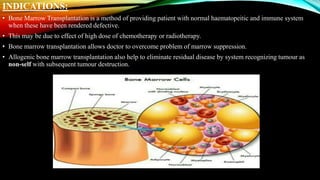 INDICATIONS:
• Bone Marrow Transplantation is a method of providing patient with normal haematopeitic and immune system
when these have been rendered defective.
• This may be due to effect of high dose of chemotherapy or radiotherapy.
• Bone marrow transplantation allows doctor to overcome problem of marrow suppression.
• Allogenic bone marrow transplantation also help to eliminate residual disease by system recognizing tumour as
non-self with subsequent tumour destruction.
 