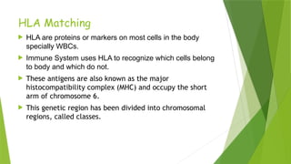 HLA Matching
 HLA are proteins or markers on most cells in the body
specially WBCs.
 Immune System uses HLA to recognize which cells belong
to body and which do not.
 These antigens are also known as the major
histocompatibility complex (MHC) and occupy the short
arm of chromosome 6.
 This genetic region has been divided into chromosomal
regions, called classes.
 