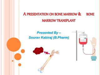 A PRESENTATION ON BONE MARROW & BONE
MARROW TRANSPLANT
Presented By –
Sourav Kabiraj (B.Pharm)
 