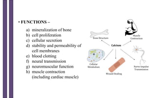 • FUNCTIONS –
a) mineralization of bone
b) cell proliferation
c) cellular secretion
d) stability and permeability of
cell membranes
e) blood clotting
f) neural transmission
g) neuromuscular function
h) muscle contraction
(including cardiac muscle)
 