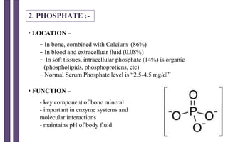 2. PHOSPHATE :-
• LOCATION –
− In bone, combined with Calcium (86%)
− In blood and extracelluar fluid (0.08%)
− In soft tissues, intracellular phosphate (14%) is organic
(phospholipids, phosphoprotiens, etc)
− Normal Serum Phosphate level is “2.5-4.5 mg/dl”
• FUNCTION –
- key component of bone mineral
- important in enzyme systems and
molecular interactions
- maintains pH of body fluid
 