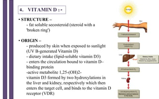 4. VITAMIN D :-
• STRUCTURE –
- fat soluble secosteroid (steroid with a
'broken ring')
• ORIGIN –
- produced by skin when exposed to sunlight
(UV B-generated Vitamin D)
- dietary intake (lipid-soluble vitamin D3)
- enters the circulation bound to vitamin D–
binding protein
-active metabolite 1,25-(OH)2-
vitamin D3 formed by two hydroxylations in
the liver and kidney, respectively which then
enters the target cell, and binds to the vitamin D
receptor (VDR)
 
