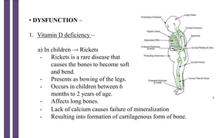 • DYSFUNCTION –
1. Vitamin D deficiency –
a) In children → Rickets
- Rickets is a rare disease that
causes the bones to become soft
and bend.
- Presents as bowing of the legs.
- Occurs in children between 6
months to 2 years of age.
- Affects long bones.
- Lack of calcium causes failure of mineralization
- Resulting into formation of cartilagenous form of bone.
 