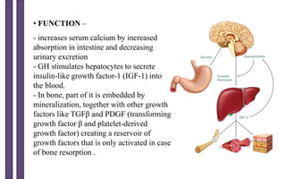 • FUNCTION –
- increases serum calcium by increased
absorption in intestine and decreasing
urinary excretion
- GH stimulates hepatocytes to secrete
insulin-like growth factor-1 (IGF-1) into
the blood.
- In bone, part of it is embedded by
mineralization, together with other growth
factors like TGFβ and PDGF (transforming
growth factor β and platelet-derived
growth factor) creating a reservoir of
growth factors that is only activated in case
of bone resorption .
 