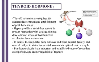 -Thyroid hormones are required for
skeletal development and establishment
of peak bone mass.
- Hypothyroidism in children results in
growth retardation with delayed skeletal
development, whereas thyrotoxicosis
accelerates bone maturation.
THYROID HORMONE :
- In adults, T(3) regulates bone turnover and bone mineral density, and
normal euthyroid status is essential to maintain optimal bone strength.
- But thyrotoxicosis is an important and established cause of secondary
osteoporosis, and an increased risk of fracture
 