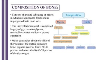 COMPOSITION OF BONE:
• Consists of ground substance or matrix
in which are embedded fibers and is
impregnated with bone salts.
• The intercellular material is composed
largely of glycosaminoglycans,
metabolites, water and ions - ground
substance.
• Water constitutes about one-fifth of
the weight of the matrix in mature
bone; organic material forms 30-40
percent and mineral salts 60-70 percent
of the dry weight.
 