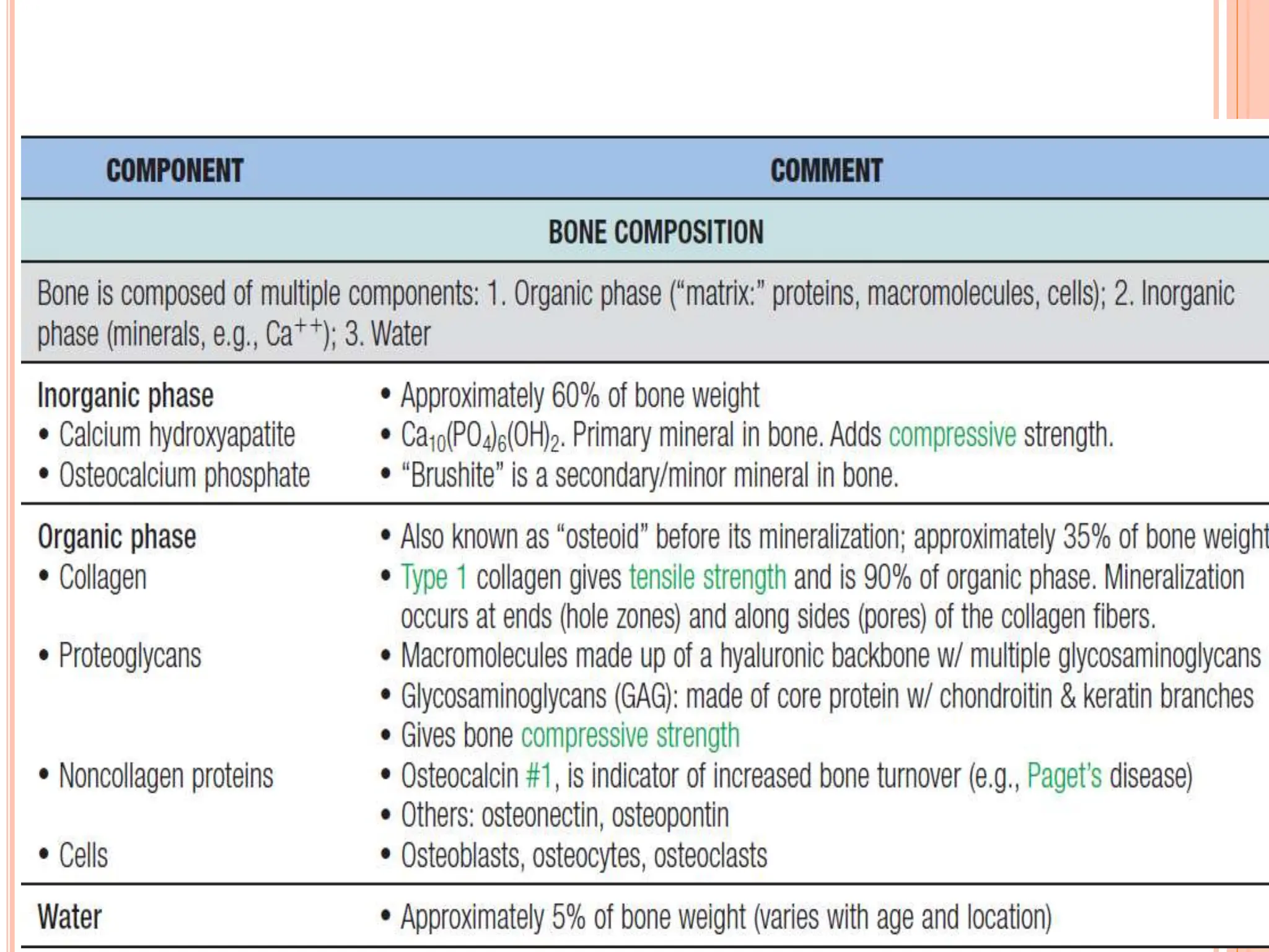 PHYSIOLOGY OF CALCIUM AND VITAMIN D METABOLISM PPT DR NAV.pptx