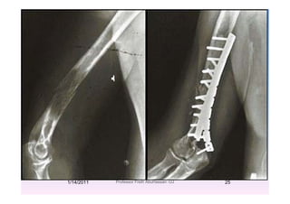 1/14/2011 25Professor Freih AbuHassan -UJ
 