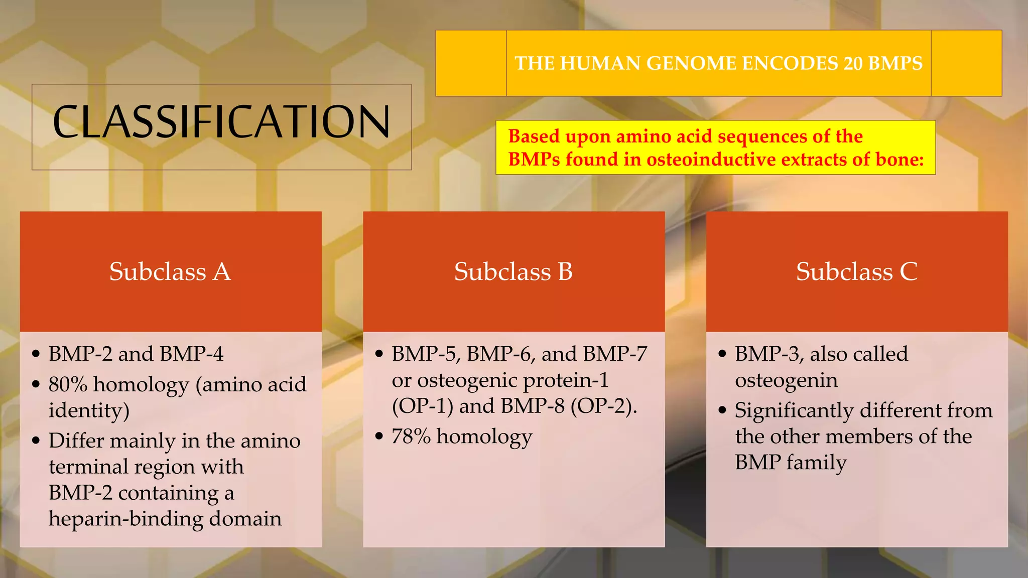 Bone Morphogenetic Proteins - Role in Periodontal Regeneration | PPTX