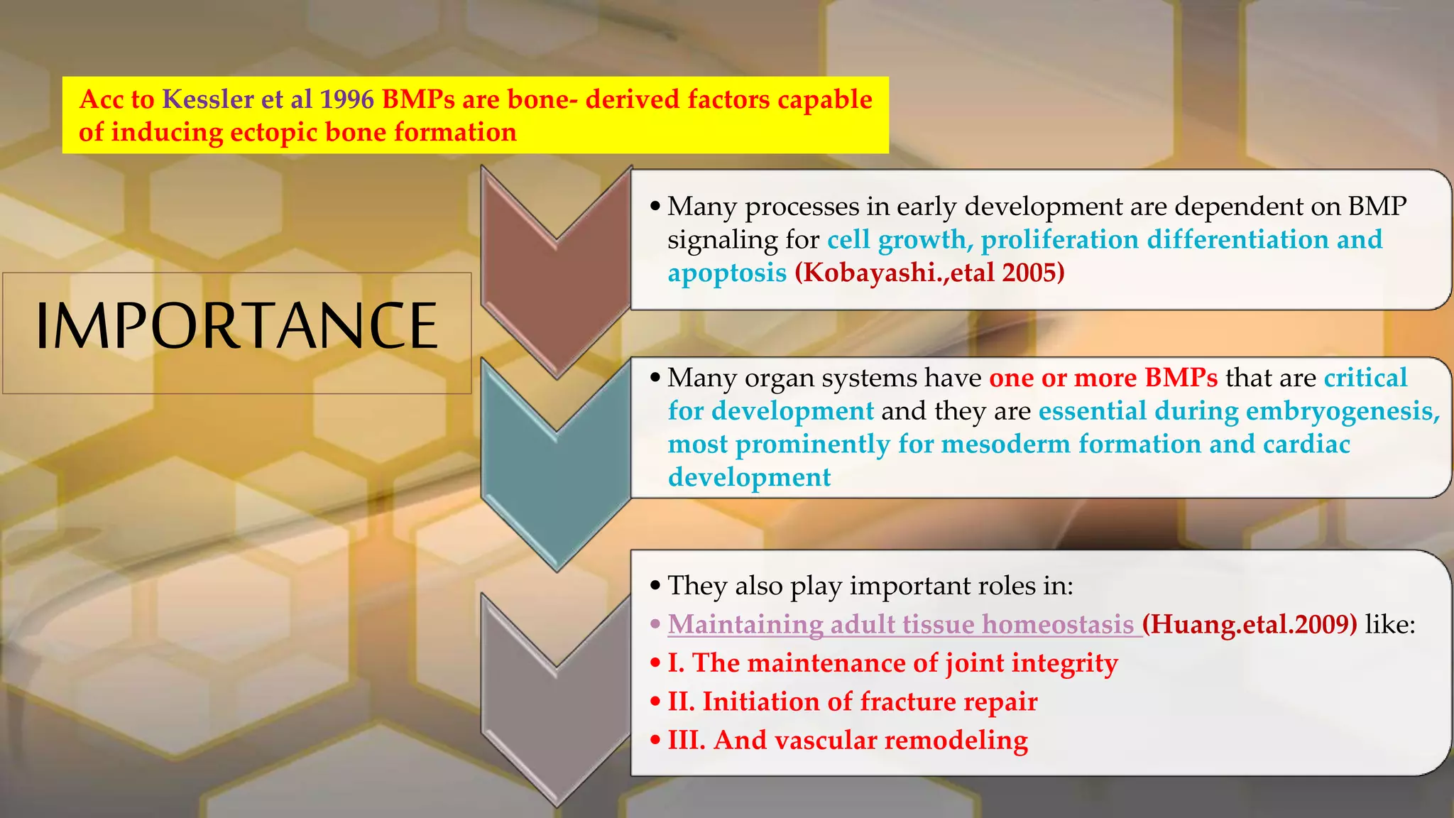 Bone Morphogenetic Proteins - Role in Periodontal Regeneration | PPTX