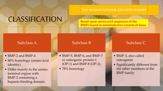 Bone Morphogenetic Proteins - Role in Periodontal Regeneration | PPTX