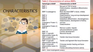 Bone Morphogenetic Proteins - Role in Periodontal Regeneration | PPTX