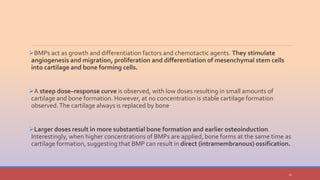 Bone morphogenetic proteins in periodontal regeneration | PPTX