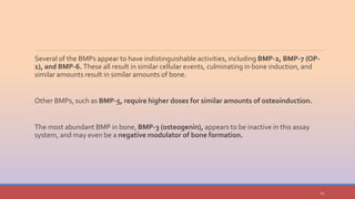 Bone morphogenetic proteins in periodontal regeneration | PPTX